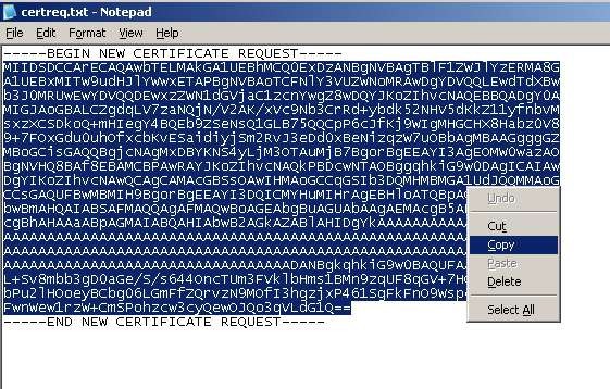 File:Tokensmart img178.jpg