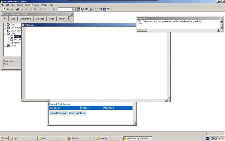 Visual FoxPro empty project window