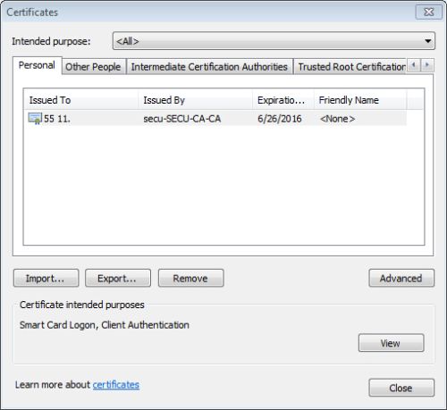 registered certificate now displaying in Internet Explorer