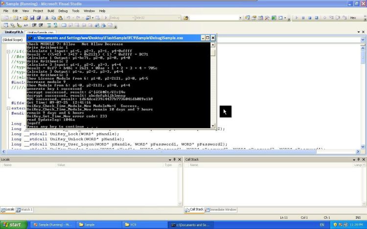 Visual Studio runtime output