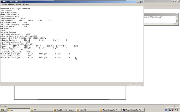 Visual FoxPro runtime output
